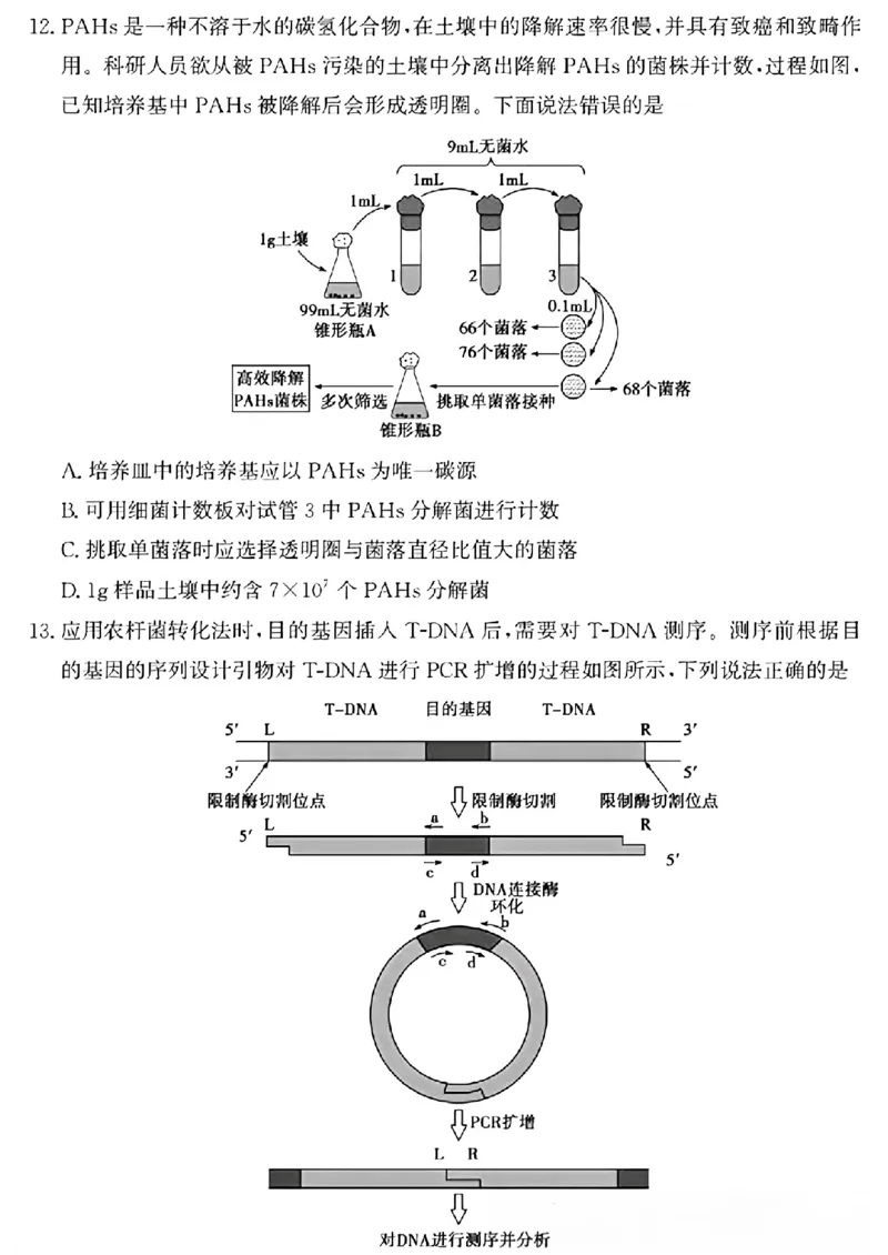山东省滨州市2025届高三下学期第二次模拟考试生物_2025年5月_250514山东省滨州市2025届高三下学期第二次模拟考试（滨州二模）（全科）