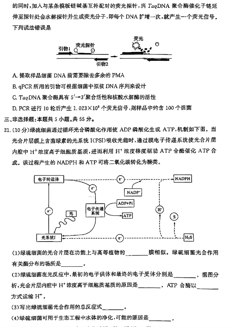 山东省滨州市2025届高三下学期第二次模拟考试生物_2025年5月_250514山东省滨州市2025届高三下学期第二次模拟考试（滨州二模）（全科）