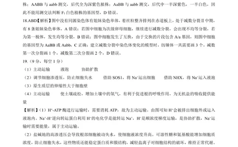 生物试卷答案_2025年11月_251120河北省秦皇岛市承德联考2025-2026学年高三上学期11月期中（全科）_NT生物试题(扫描版，有解析)