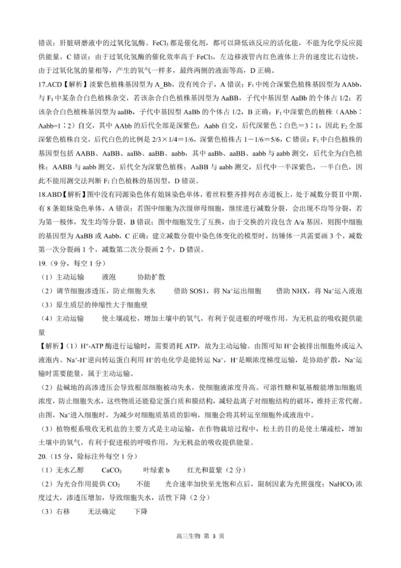 生物试卷答案_2025年11月_251120河北省秦皇岛市承德联考2025-2026学年高三上学期11月期中（全科）_NT生物试题(扫描版，有解析)