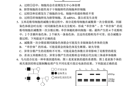 生物试卷-湖北省腾云联盟2026届高三8月联考_2025年8月_250814湖北省腾云联盟2026届高三上学期开学考试（全科）_湖北省腾云联盟2026届高三上学期开学考试生物