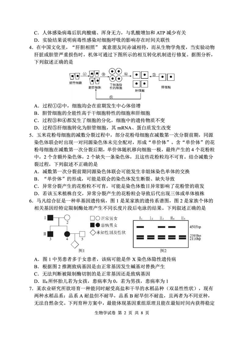 生物试卷-湖北省腾云联盟2026届高三8月联考_2025年8月_250814湖北省腾云联盟2026届高三上学期开学考试（全科）_湖北省腾云联盟2026届高三上学期开学考试生物