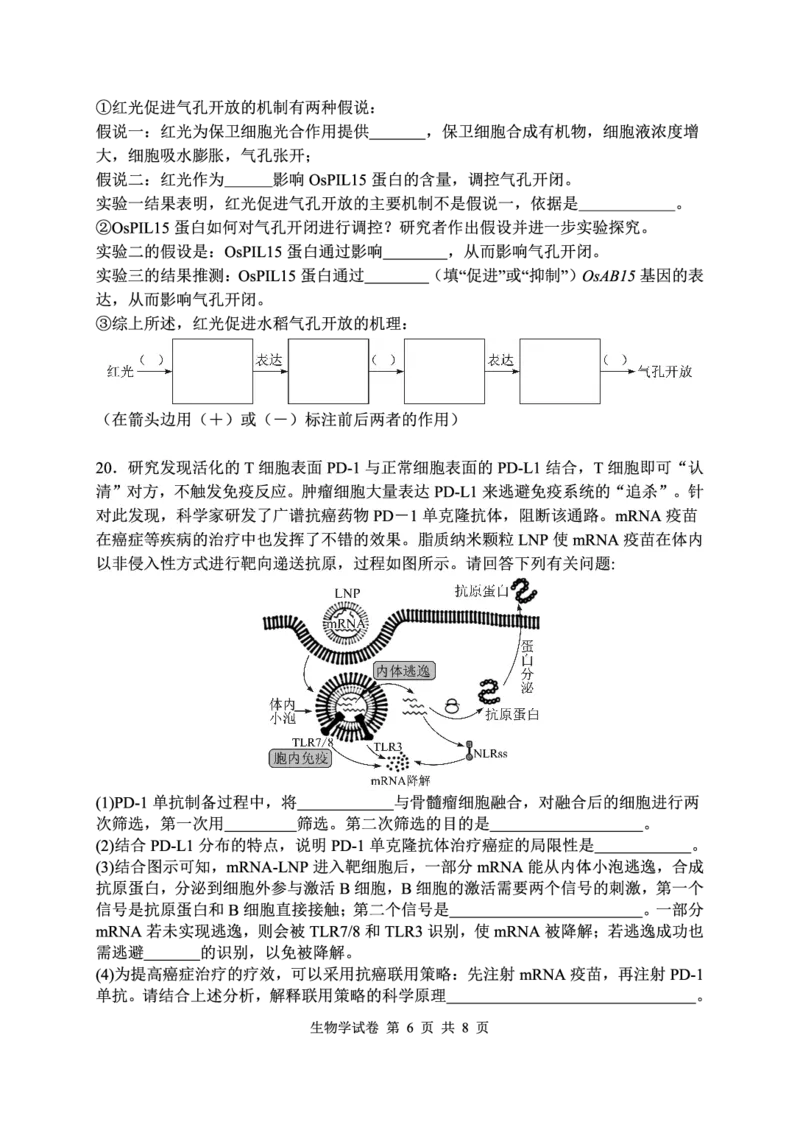 生物试卷-湖北省腾云联盟2026届高三8月联考_2025年8月_250814湖北省腾云联盟2026届高三上学期开学考试（全科）_湖北省腾云联盟2026届高三上学期开学考试生物