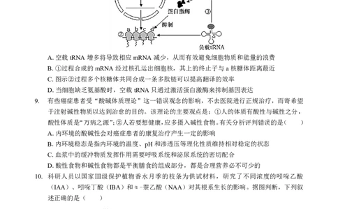 新八校高三生物试卷_2025年2月_2502082025年湖北省新八校协作体高三2月联考（全科）_生物