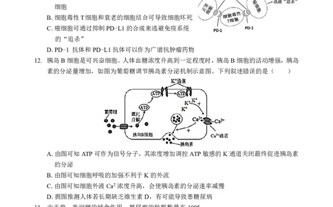 新八校高三生物试卷_2025年2月_2502082025年湖北省新八校协作体高三2月联考（全科）_生物