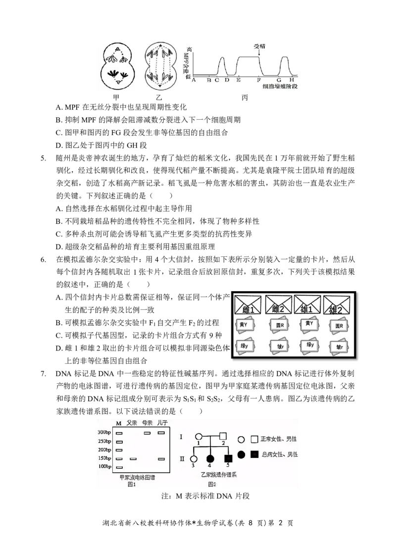 新八校高三生物试卷_2025年2月_2502082025年湖北省新八校协作体高三2月联考（全科）_生物