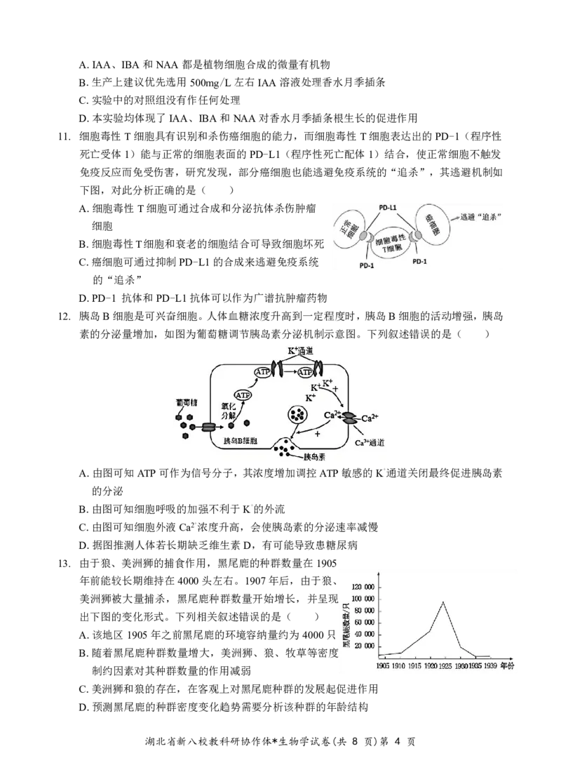 新八校高三生物试卷_2025年2月_2502082025年湖北省新八校协作体高三2月联考（全科）_生物