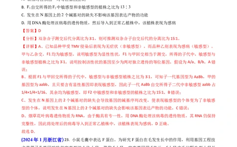 专题08遗传规律和应用-2024年高考真题和模拟题生物分类汇编（教师卷）_近10年高考真题汇编（必刷）_十年（2014-2024）高考生物真题分项汇编（全国通用）