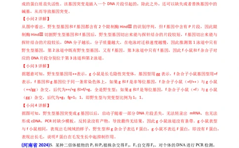 专题08遗传规律和应用-2024年高考真题和模拟题生物分类汇编（教师卷）_近10年高考真题汇编（必刷）_十年（2014-2024）高考生物真题分项汇编（全国通用）