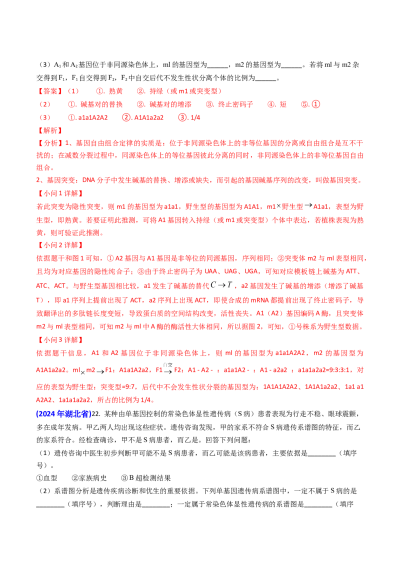 专题08遗传规律和应用-2024年高考真题和模拟题生物分类汇编（教师卷）_近10年高考真题汇编（必刷）_十年（2014-2024）高考生物真题分项汇编（全国通用）