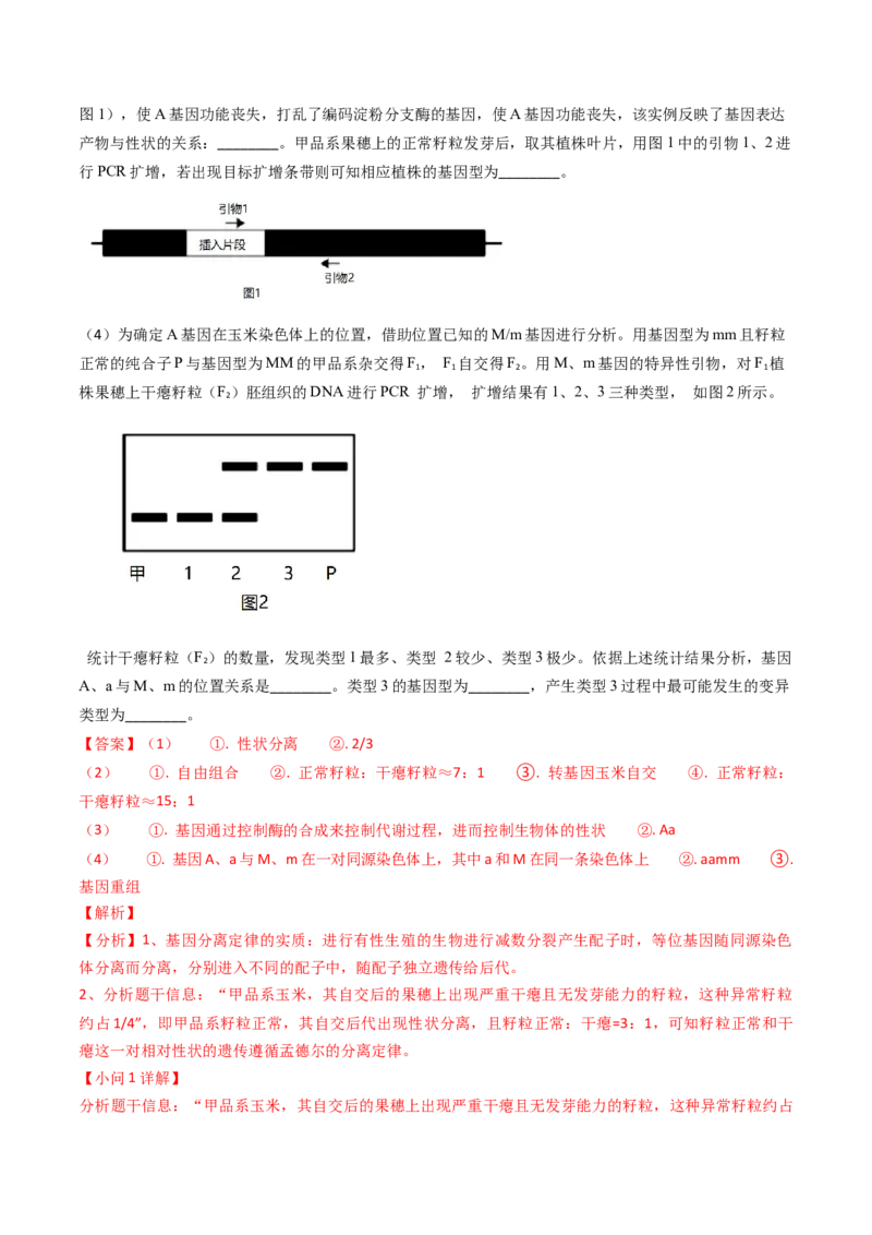 专题08遗传规律和应用-2024年高考真题和模拟题生物分类汇编（教师卷）_近10年高考真题汇编（必刷）_十年（2014-2024）高考生物真题分项汇编（全国通用）