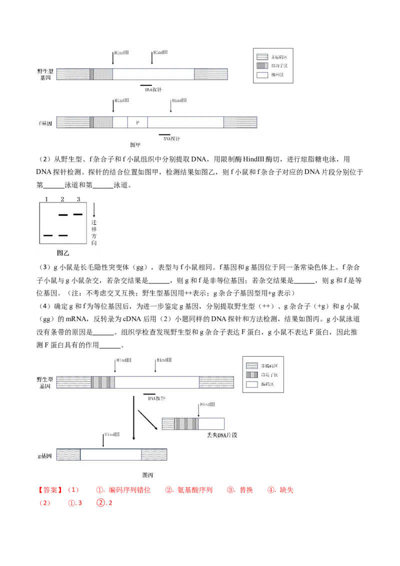 专题08遗传规律和应用-2024年高考真题和模拟题生物分类汇编（教师卷）_近10年高考真题汇编（必刷）_十年（2014-2024）高考生物真题分项汇编（全国通用）