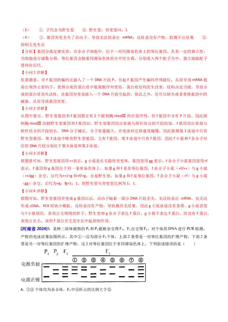 专题08遗传规律和应用-2024年高考真题和模拟题生物分类汇编（教师卷）_近10年高考真题汇编（必刷）_十年（2014-2024）高考生物真题分项汇编（全国通用）