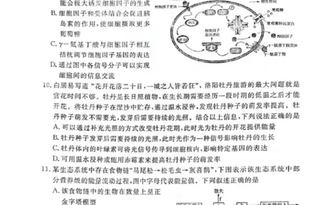 河南省H20高中联盟2024-2025学年高三下学期4月联考生物试卷_2025年4月_250415河南省H20高中联盟2024-2025学年高三下学期4月联考（全科）