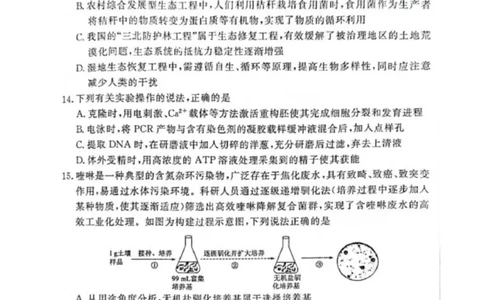 河南省H20高中联盟2024-2025学年高三下学期4月联考生物试卷_2025年4月_250415河南省H20高中联盟2024-2025学年高三下学期4月联考（全科）