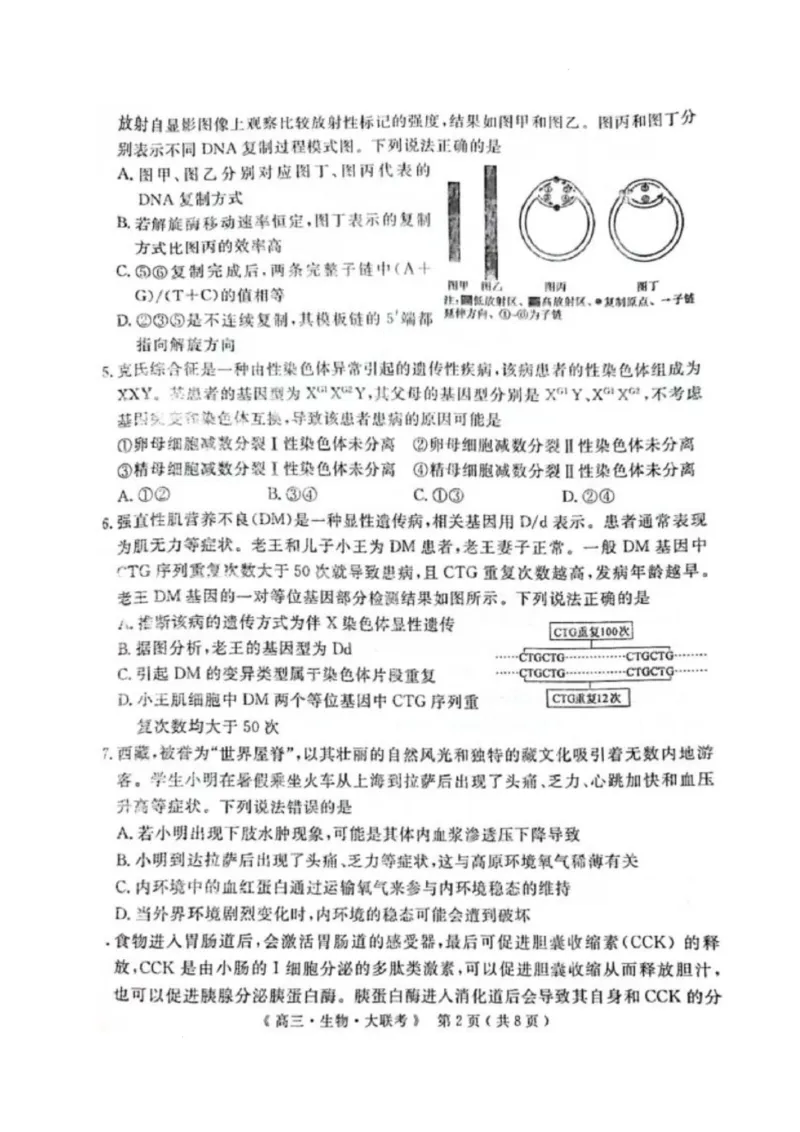 河南省H20高中联盟2024-2025学年高三下学期4月联考生物试卷_2025年4月_250415河南省H20高中联盟2024-2025学年高三下学期4月联考（全科）