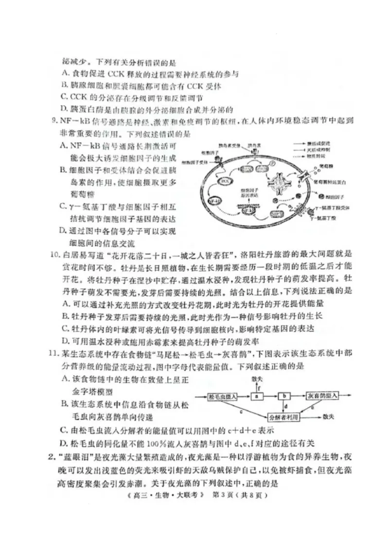 河南省H20高中联盟2024-2025学年高三下学期4月联考生物试卷_2025年4月_250415河南省H20高中联盟2024-2025学年高三下学期4月联考（全科）