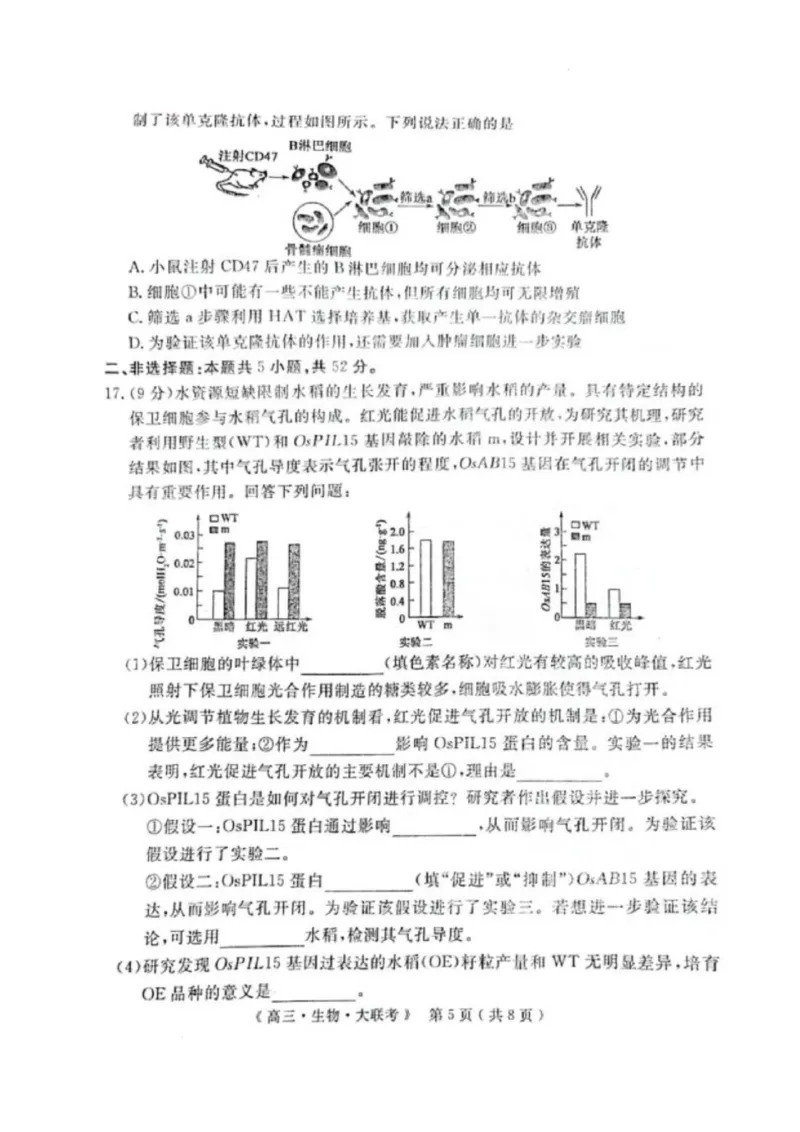 河南省H20高中联盟2024-2025学年高三下学期4月联考生物试卷_2025年4月_250415河南省H20高中联盟2024-2025学年高三下学期4月联考（全科）