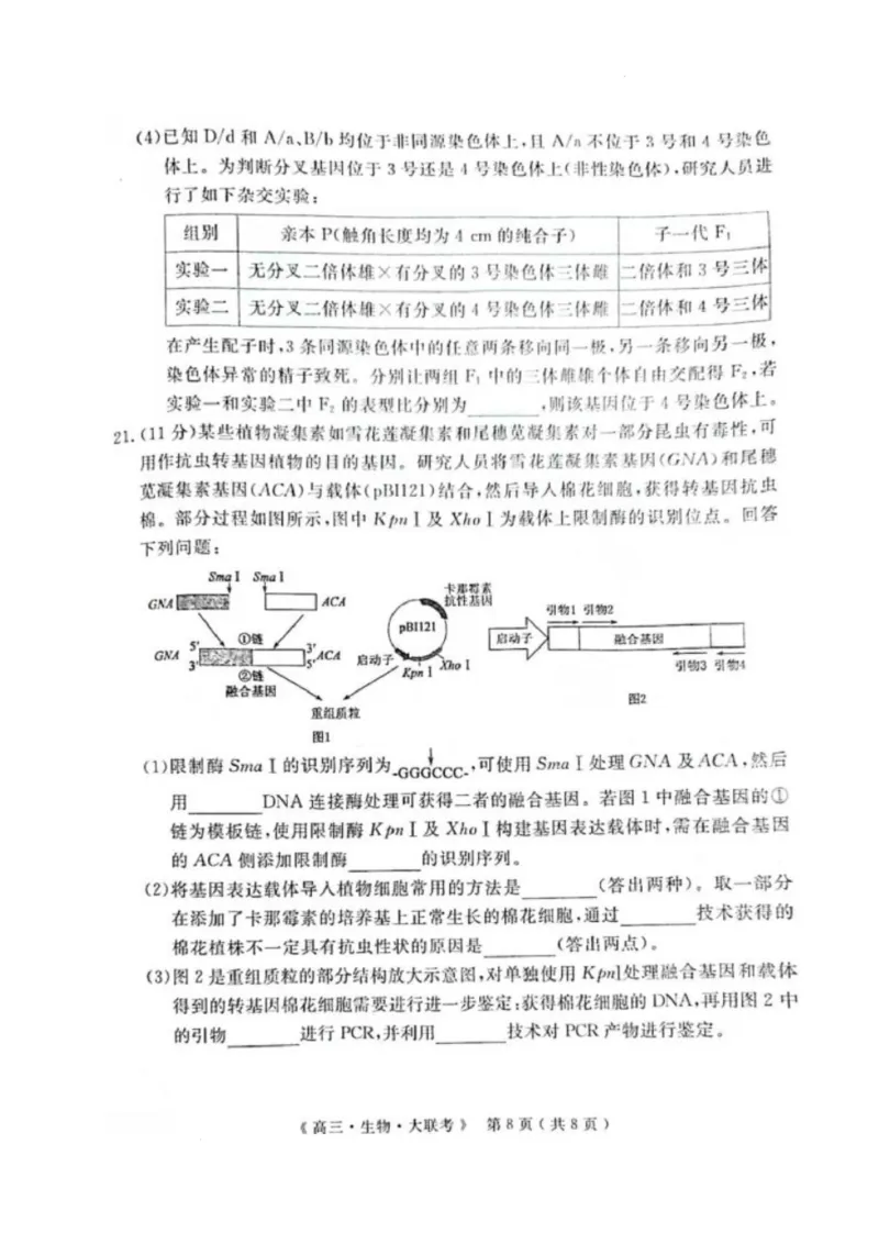河南省H20高中联盟2024-2025学年高三下学期4月联考生物试卷_2025年4月_250415河南省H20高中联盟2024-2025学年高三下学期4月联考（全科）