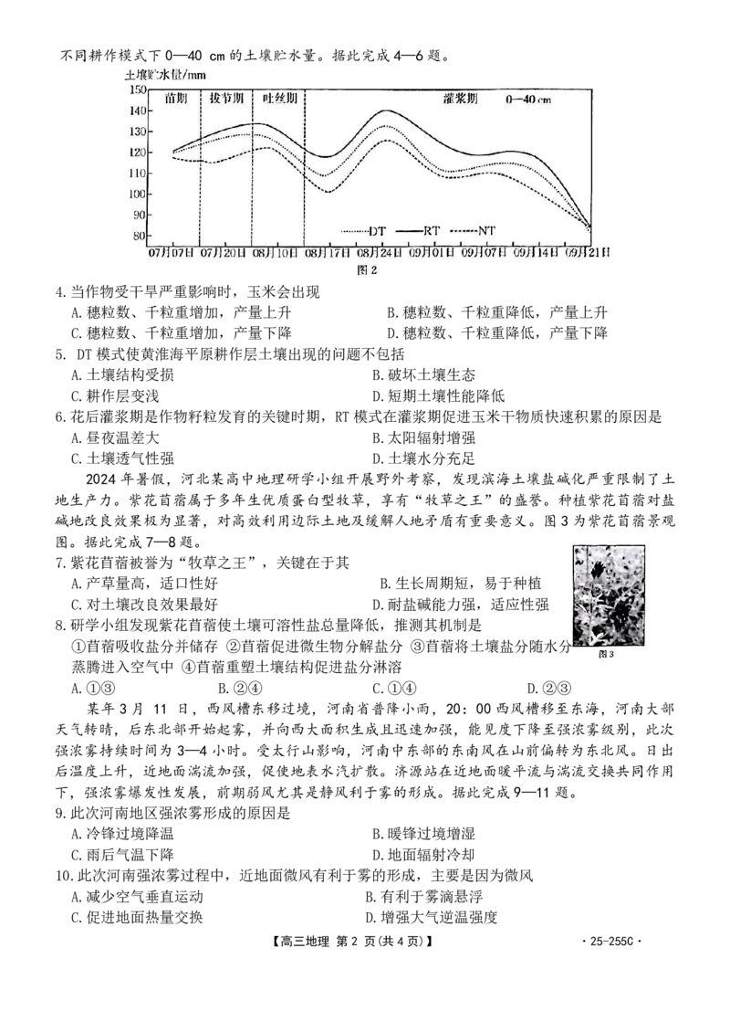 地理_2025年1月_250114甘肃省金太阳2025届高三1月联考（全科）_甘肃省金太阳2025届高三1月联考地理