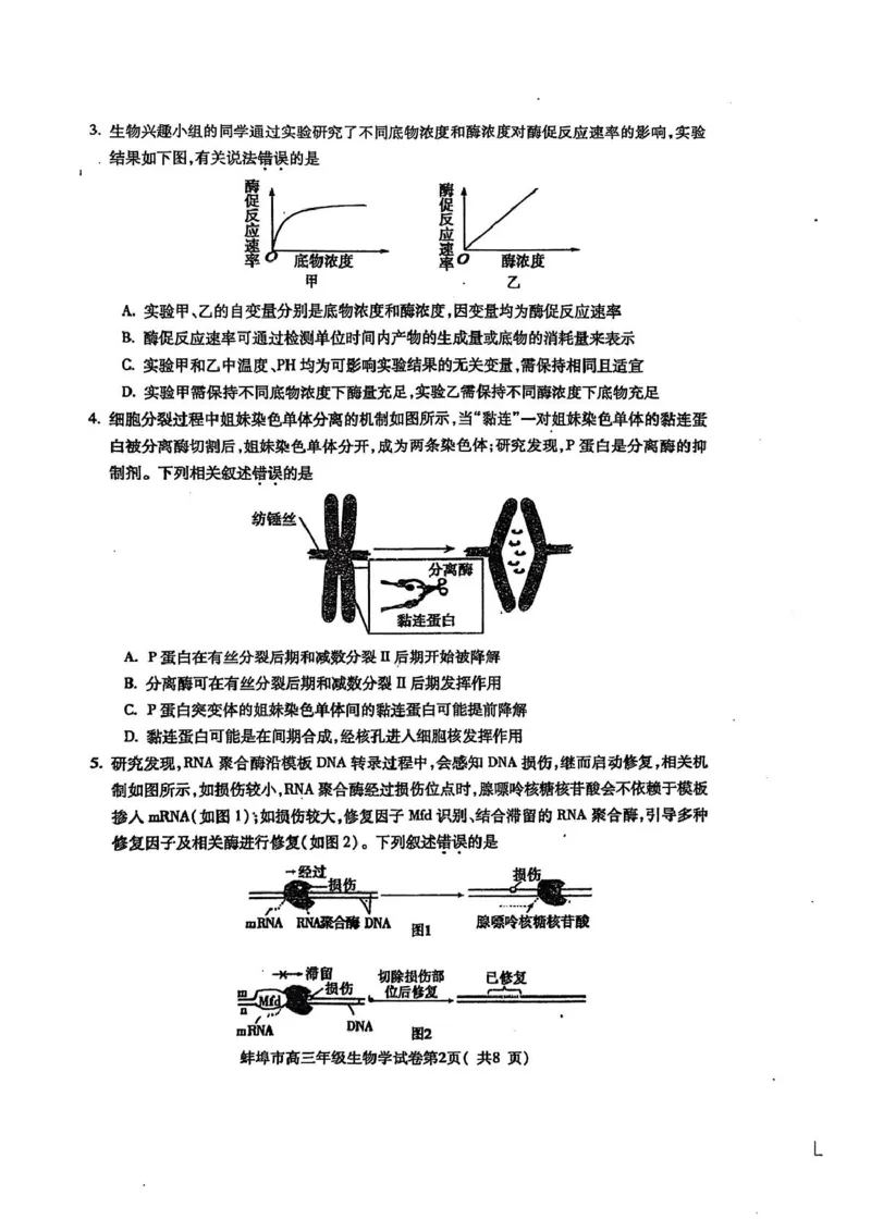 安徽省蚌埠市2025届高三上学期第一次教学质量检查考试（1月）生物PDF版含答案_2025年1月_250123安徽省蚌埠市2025届高三上学期第一次教学质量检查考试（1月）（全科）