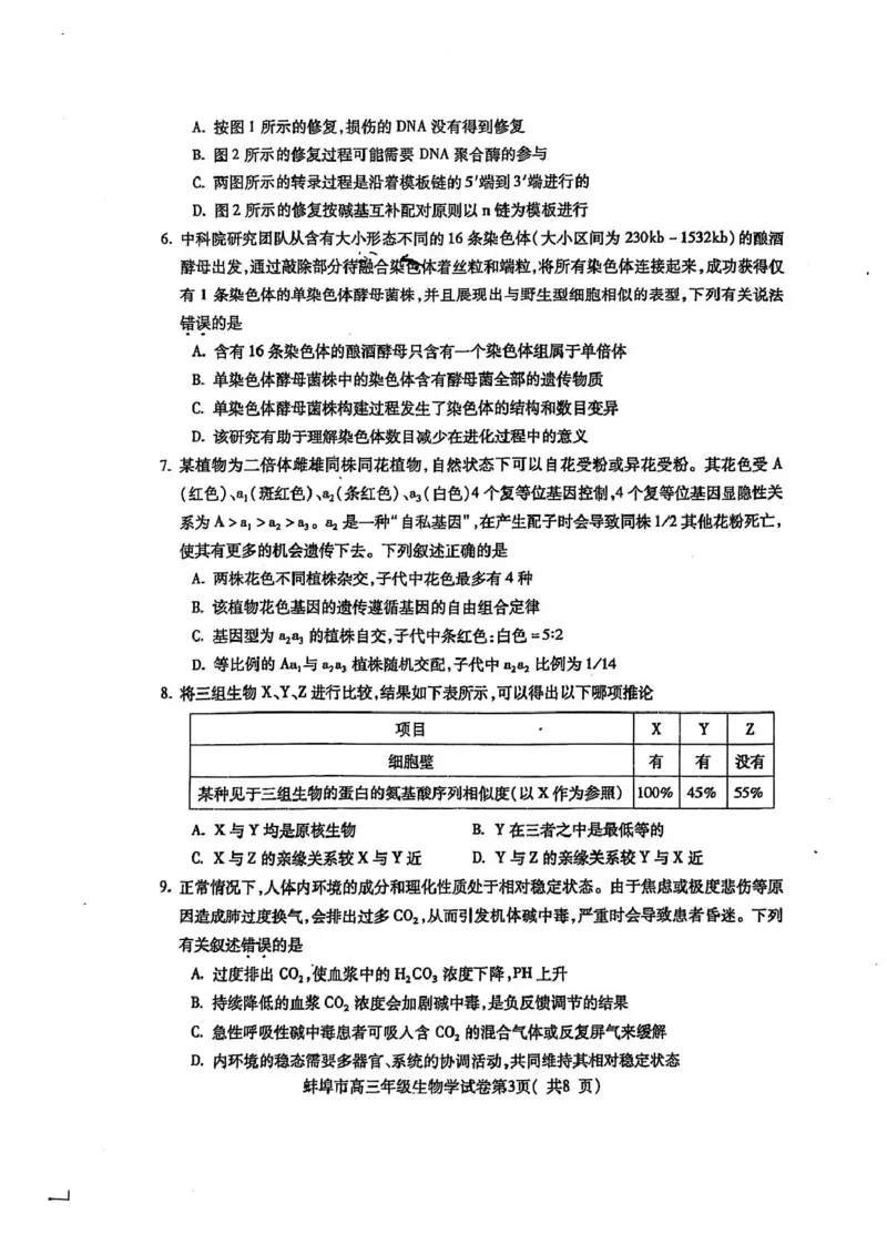 安徽省蚌埠市2025届高三上学期第一次教学质量检查考试（1月）生物PDF版含答案_2025年1月_250123安徽省蚌埠市2025届高三上学期第一次教学质量检查考试（1月）（全科）