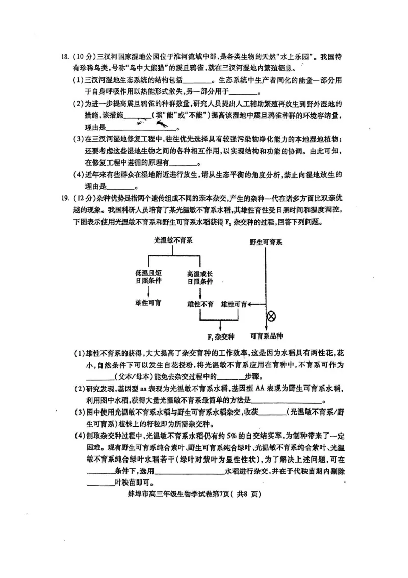 安徽省蚌埠市2025届高三上学期第一次教学质量检查考试（1月）生物PDF版含答案_2025年1月_250123安徽省蚌埠市2025届高三上学期第一次教学质量检查考试（1月）（全科）