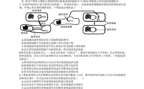 江苏省高邮市2024-2025学年高三下学期第一次联考生物试题+答案_2025年3月_250302江苏省高邮市2024&mdash;2025学年高三上学期第一次联考