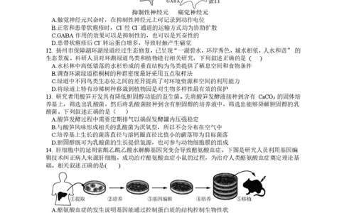 江苏省高邮市2024-2025学年高三下学期第一次联考生物试题+答案_2025年3月_250302江苏省高邮市2024&mdash;2025学年高三上学期第一次联考