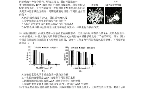 江苏省高邮市2024-2025学年高三下学期第一次联考生物试题+答案_2025年3月_250302江苏省高邮市2024&mdash;2025学年高三上学期第一次联考