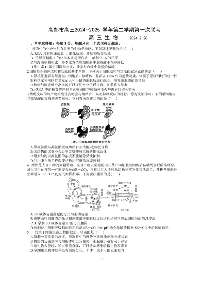 江苏省高邮市2024-2025学年高三下学期第一次联考生物试题+答案_2025年3月_250302江苏省高邮市2024&mdash;2025学年高三上学期第一次联考