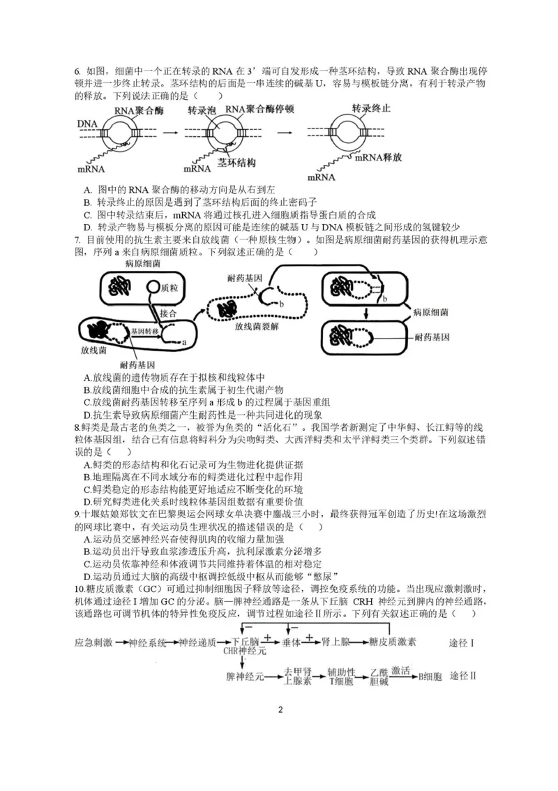 江苏省高邮市2024-2025学年高三下学期第一次联考生物试题+答案_2025年3月_250302江苏省高邮市2024&mdash;2025学年高三上学期第一次联考