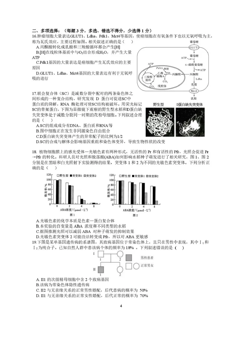 江苏省高邮市2024-2025学年高三下学期第一次联考生物试题+答案_2025年3月_250302江苏省高邮市2024&mdash;2025学年高三上学期第一次联考