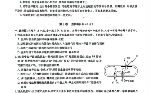 湖南炎德&middot;英才大联考长郡中学2025届模拟试卷（一）生物+答案_2025年5月_250510湖南省长郡中学2025届模拟试卷（一）（全科）