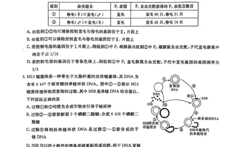 湖南炎德&middot;英才大联考长郡中学2025届模拟试卷（一）生物+答案_2025年5月_250510湖南省长郡中学2025届模拟试卷（一）（全科）
