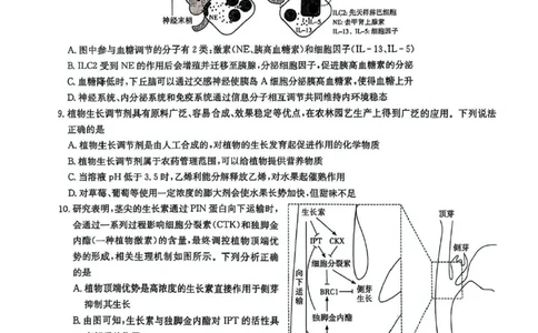 湖南炎德&middot;英才大联考长郡中学2025届模拟试卷（一）生物+答案_2025年5月_250510湖南省长郡中学2025届模拟试卷（一）（全科）