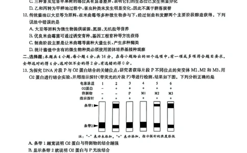 湖南炎德&middot;英才大联考长郡中学2025届模拟试卷（一）生物+答案_2025年5月_250510湖南省长郡中学2025届模拟试卷（一）（全科）