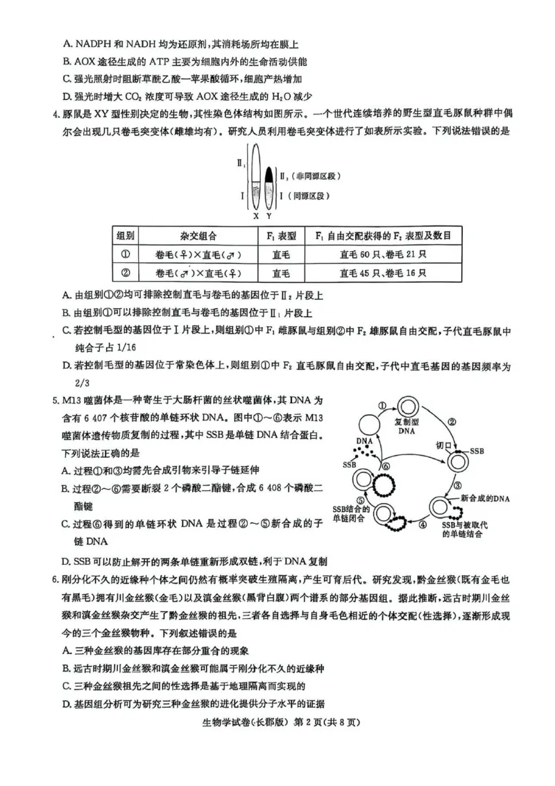 湖南炎德&middot;英才大联考长郡中学2025届模拟试卷（一）生物+答案_2025年5月_250510湖南省长郡中学2025届模拟试卷（一）（全科）