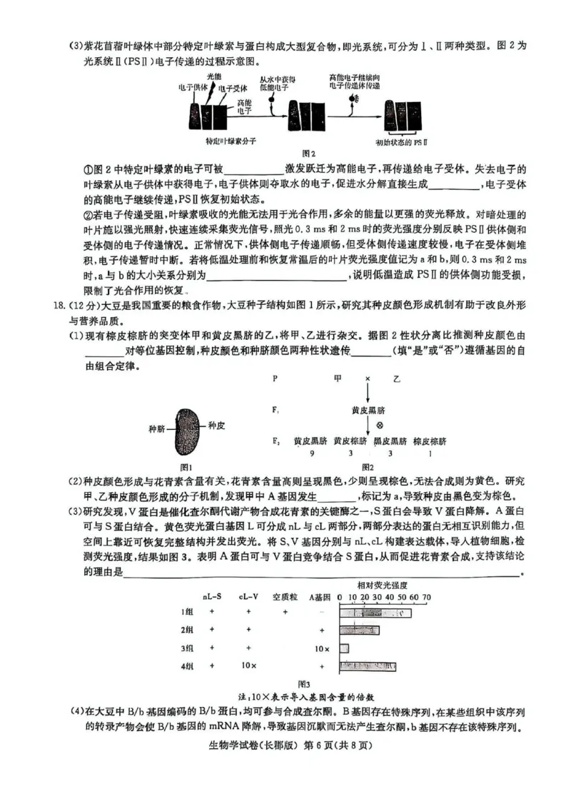 湖南炎德&middot;英才大联考长郡中学2025届模拟试卷（一）生物+答案_2025年5月_250510湖南省长郡中学2025届模拟试卷（一）（全科）