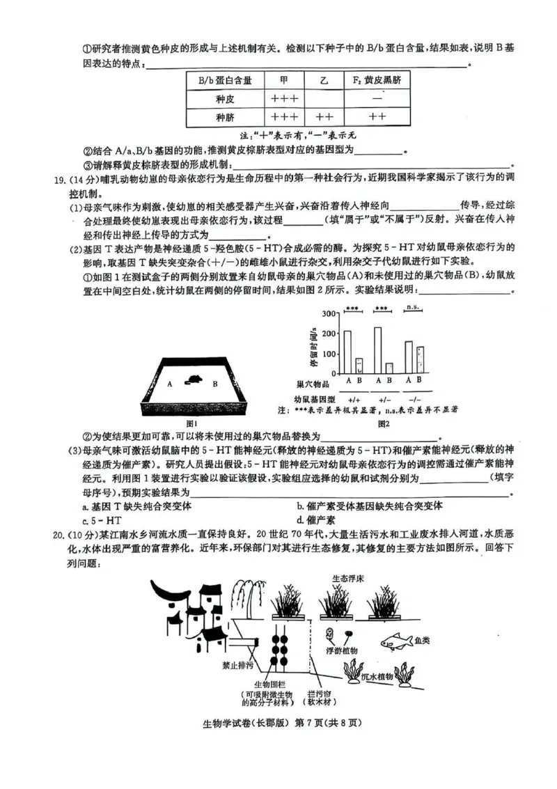 湖南炎德&middot;英才大联考长郡中学2025届模拟试卷（一）生物+答案_2025年5月_250510湖南省长郡中学2025届模拟试卷（一）（全科）