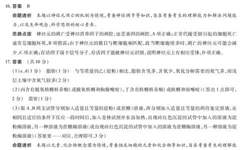 河南省2025&mdash;2026学年（上）高三阶段性检测生物详细答案_2025年10月_251021天一大联考&middot;河南省2025&mdash;2026学年（上）高三阶段性检测（全科）