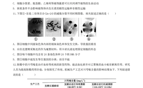 福州三中2024-2025学年第二学期高三第十四次质量检测生物_2025年4月_250404福建省福州第三中学2024-2025学年高三下学期第十四次质量检测