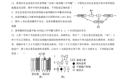 福州三中2024-2025学年第二学期高三第十四次质量检测生物_2025年4月_250404福建省福州第三中学2024-2025学年高三下学期第十四次质量检测