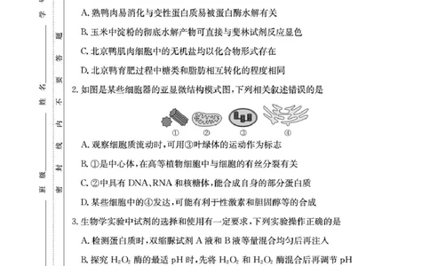 湖南省长沙市湖南师范大学附属中学2026届高三上学期月考（一）生物试卷（含答案）_2025年9月_250901湖南省长沙市师范大学附属中学2025-2026学年高三上学期8月月考（一）（全科）