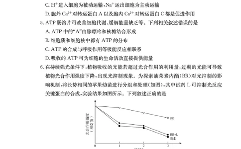 湖南省长沙市湖南师范大学附属中学2026届高三上学期月考（一）生物试卷（含答案）_2025年9月_250901湖南省长沙市师范大学附属中学2025-2026学年高三上学期8月月考（一）（全科）