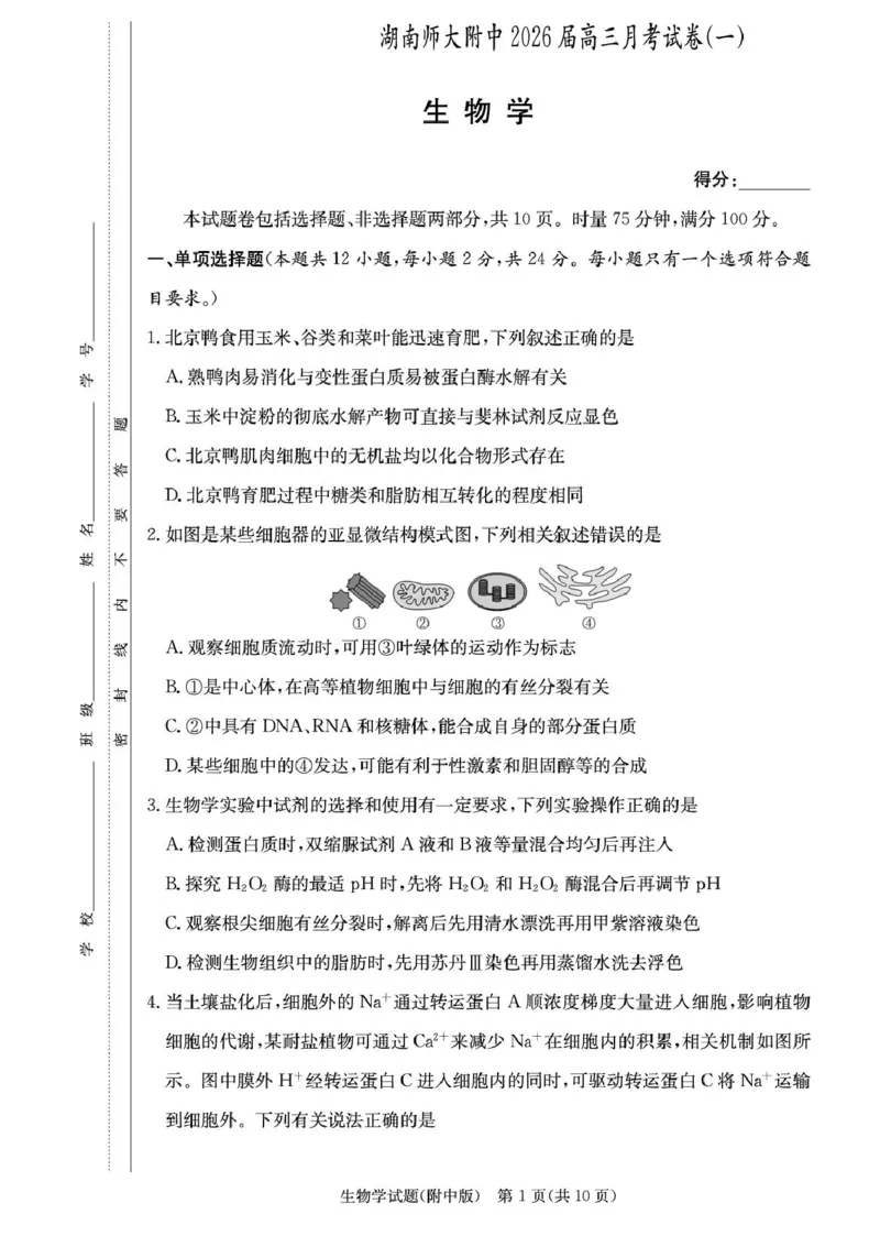 湖南省长沙市湖南师范大学附属中学2026届高三上学期月考（一）生物试卷（含答案）_2025年9月_250901湖南省长沙市师范大学附属中学2025-2026学年高三上学期8月月考（一）（全科）