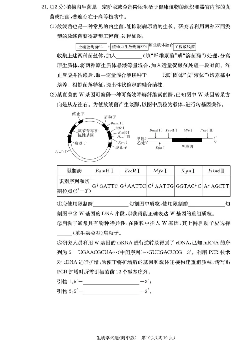 湖南省长沙市湖南师范大学附属中学2026届高三上学期月考（一）生物试卷（含答案）_2025年9月_250901湖南省长沙市师范大学附属中学2025-2026学年高三上学期8月月考（一）（全科）