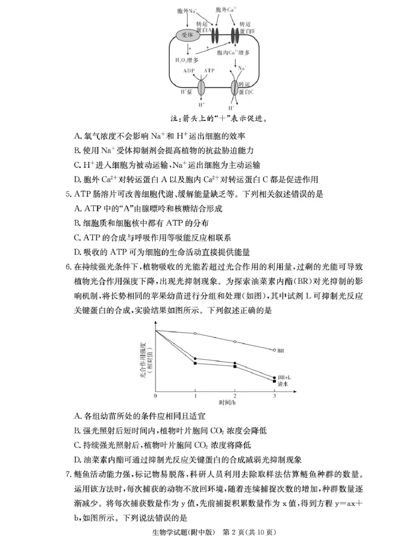 湖南省长沙市湖南师范大学附属中学2026届高三上学期月考（一）生物试卷（含答案）_2025年9月_250901湖南省长沙市师范大学附属中学2025-2026学年高三上学期8月月考（一）（全科）