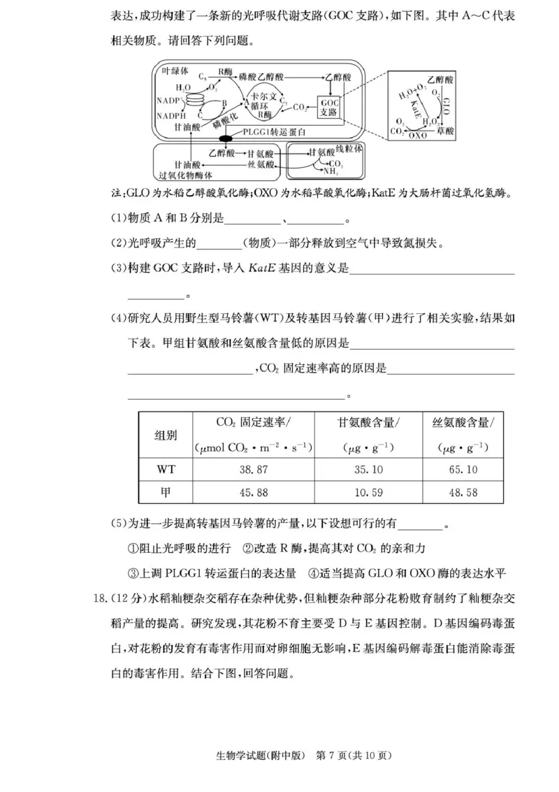 湖南省长沙市湖南师范大学附属中学2026届高三上学期月考（一）生物试卷（含答案）_2025年9月_250901湖南省长沙市师范大学附属中学2025-2026学年高三上学期8月月考（一）（全科）