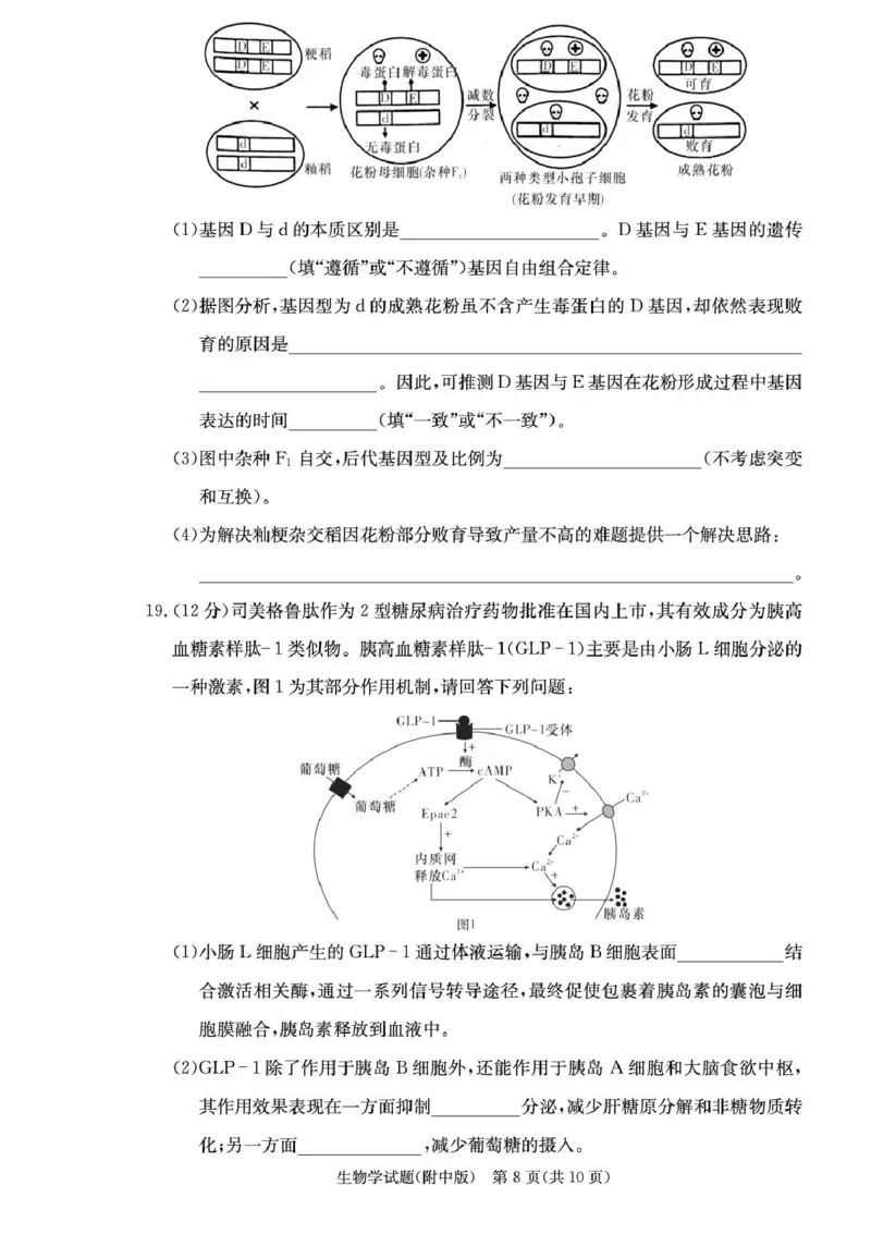 湖南省长沙市湖南师范大学附属中学2026届高三上学期月考（一）生物试卷（含答案）_2025年9月_250901湖南省长沙市师范大学附属中学2025-2026学年高三上学期8月月考（一）（全科）